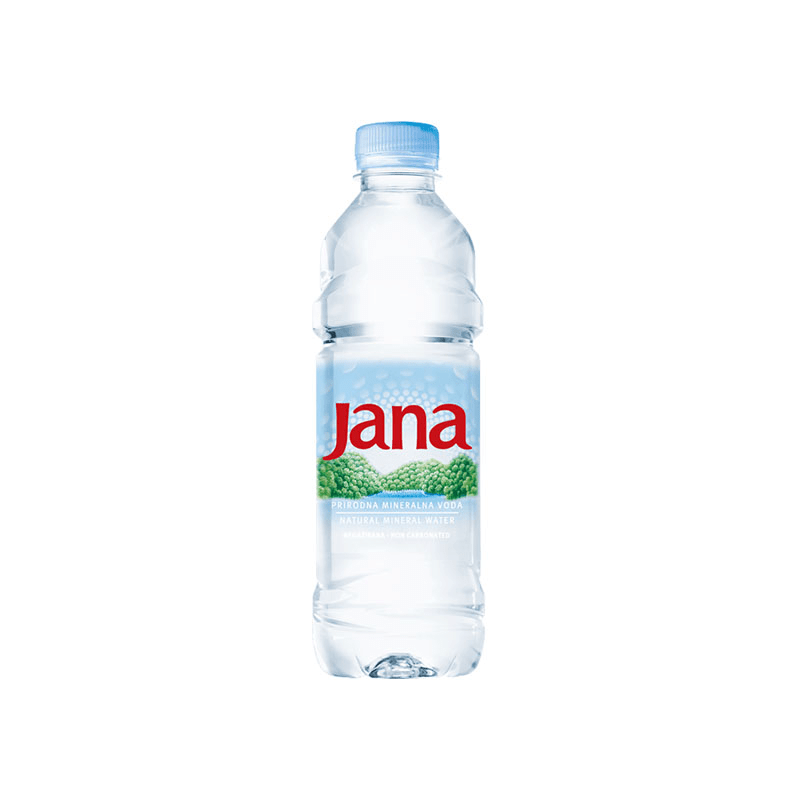 Jana – Natural Wasser 0,50L - Kastanien Hof